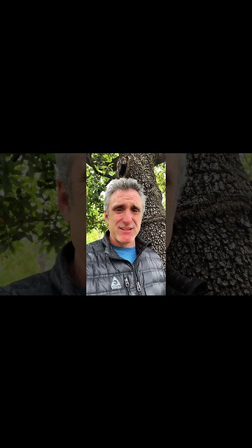 What set Jimi Hendrix apart that wasn’t his guitar playing! #shorts