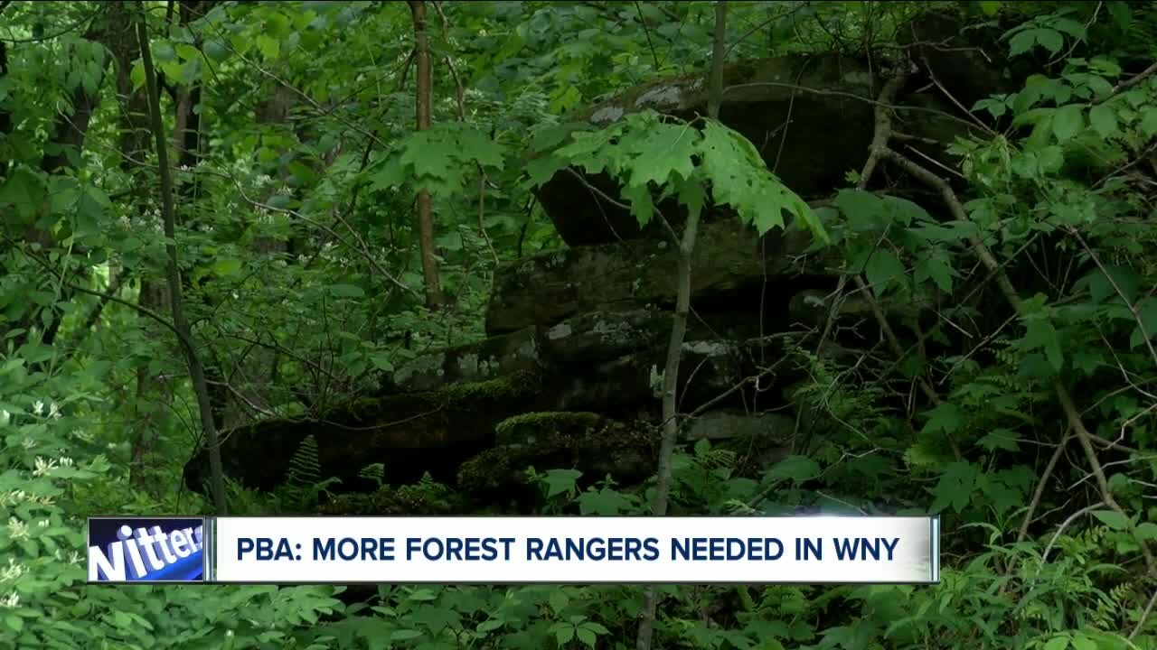 PBA: More Forest Rangers needed in WNY