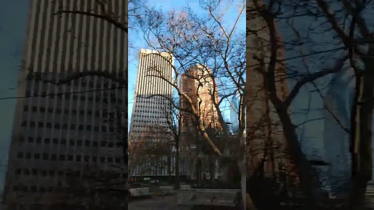 welcome to my journey on Philadelphia Walks PTSD-