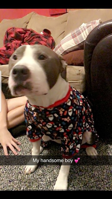 Barnes Christmas pjs