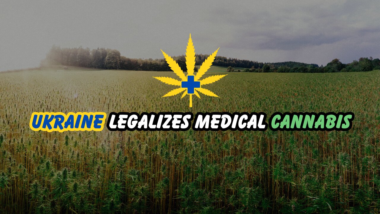 President Zelensky Signs Bill Legalizing Medical Cannabis In Ukraine