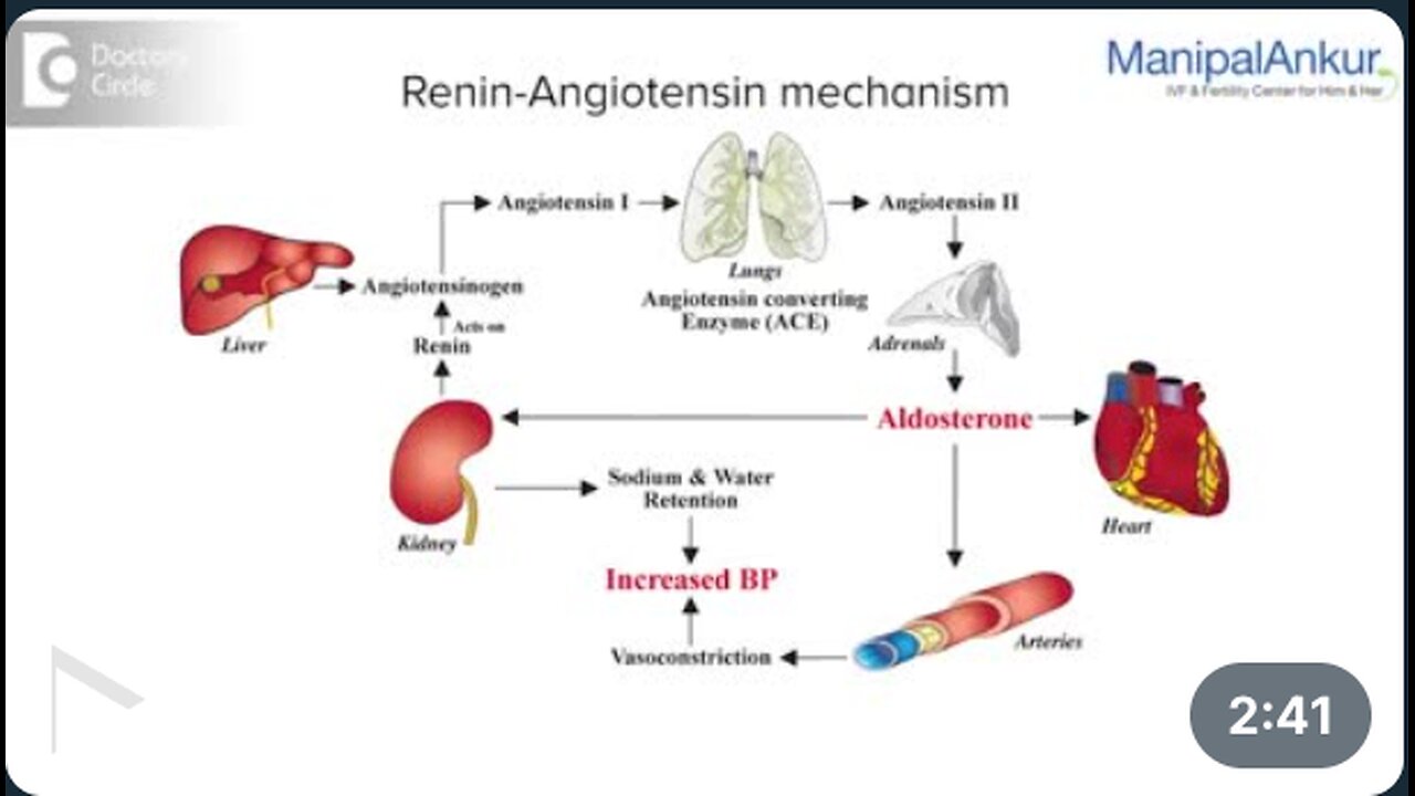 How high blood pressure affects erectile dysfunction