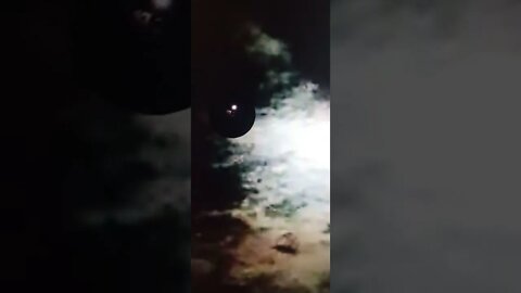 universe , space , ufo , shorts
