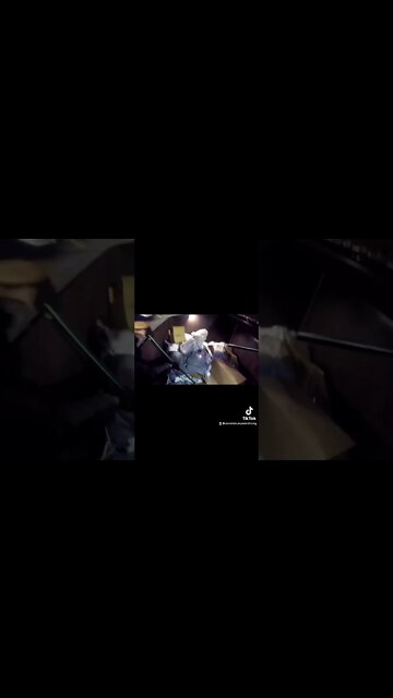 Dumpster Diving at Michaels