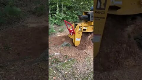 Money Machine Tiktok bushwhackin ben