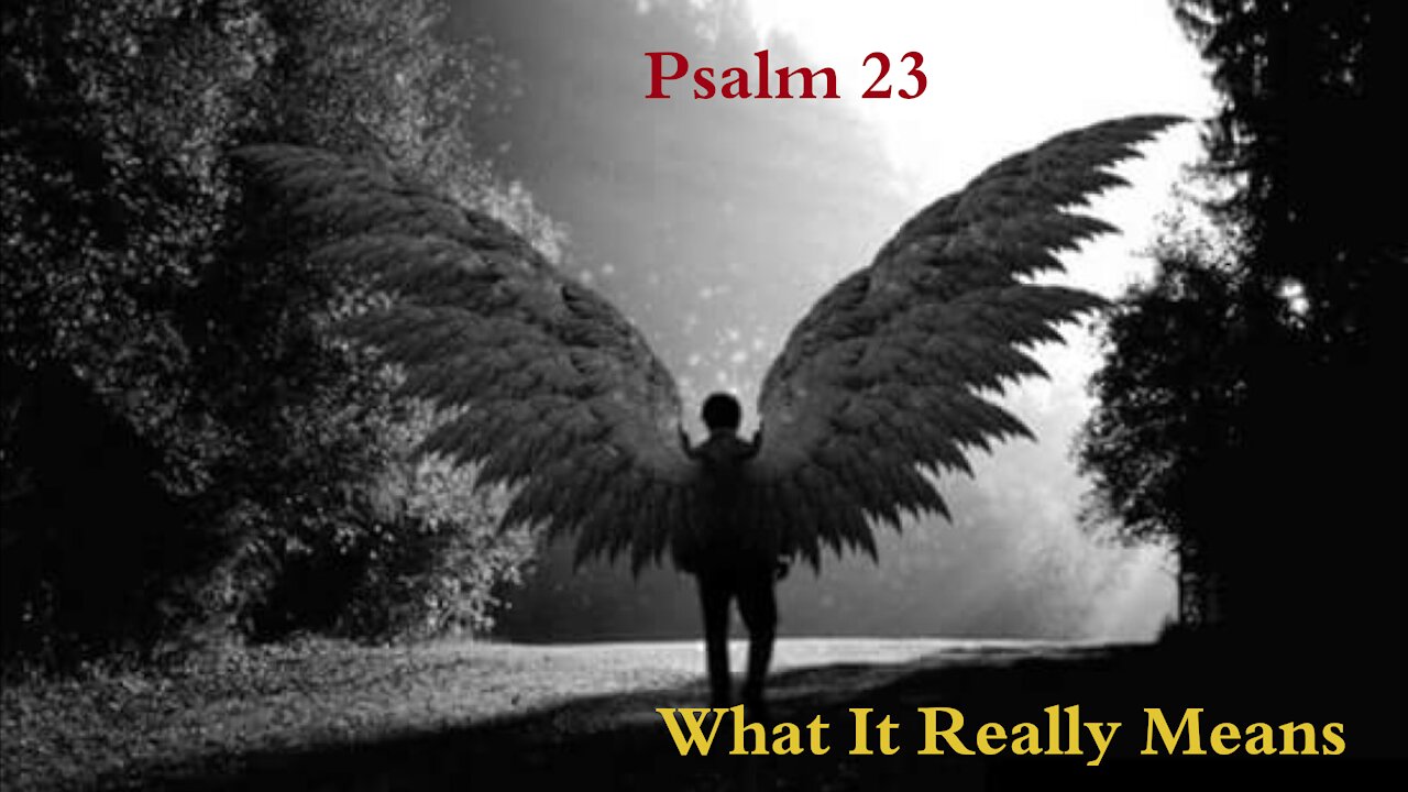 The Bible Study with Mimi - Psalm 23