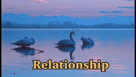 Relationship