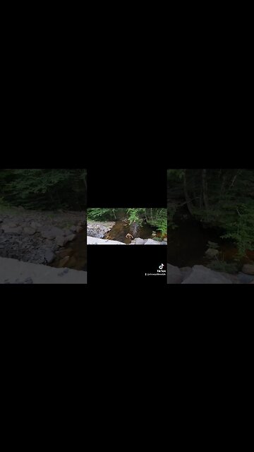 #coldplunge #monttremblant #jump #hot #Halfcourtshots #hooper #basketball #ytshortscanada