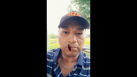 Some people store coffee creamer, I prefer a roach