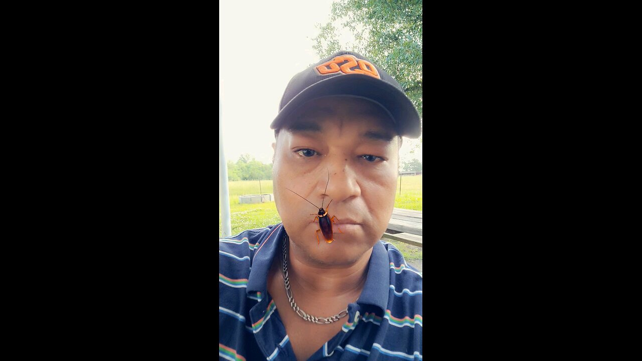 Some people store coffee creamer, I prefer a roach