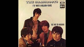 Grass Roots "I'd Wait A Million Years"