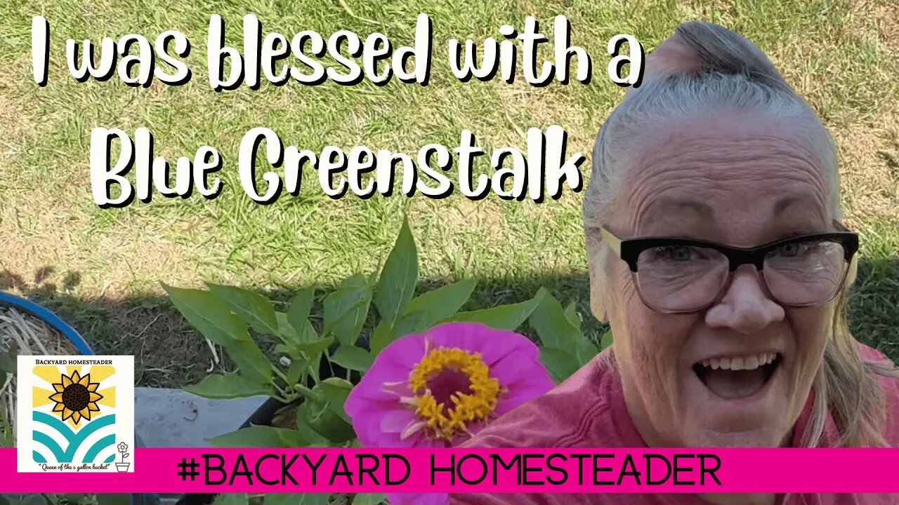 i was blessed with a Blue Greenstalk