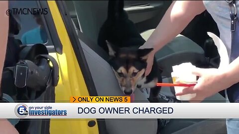 Dog found in locked car, North Ridgeville woman charged with cruelty to animals