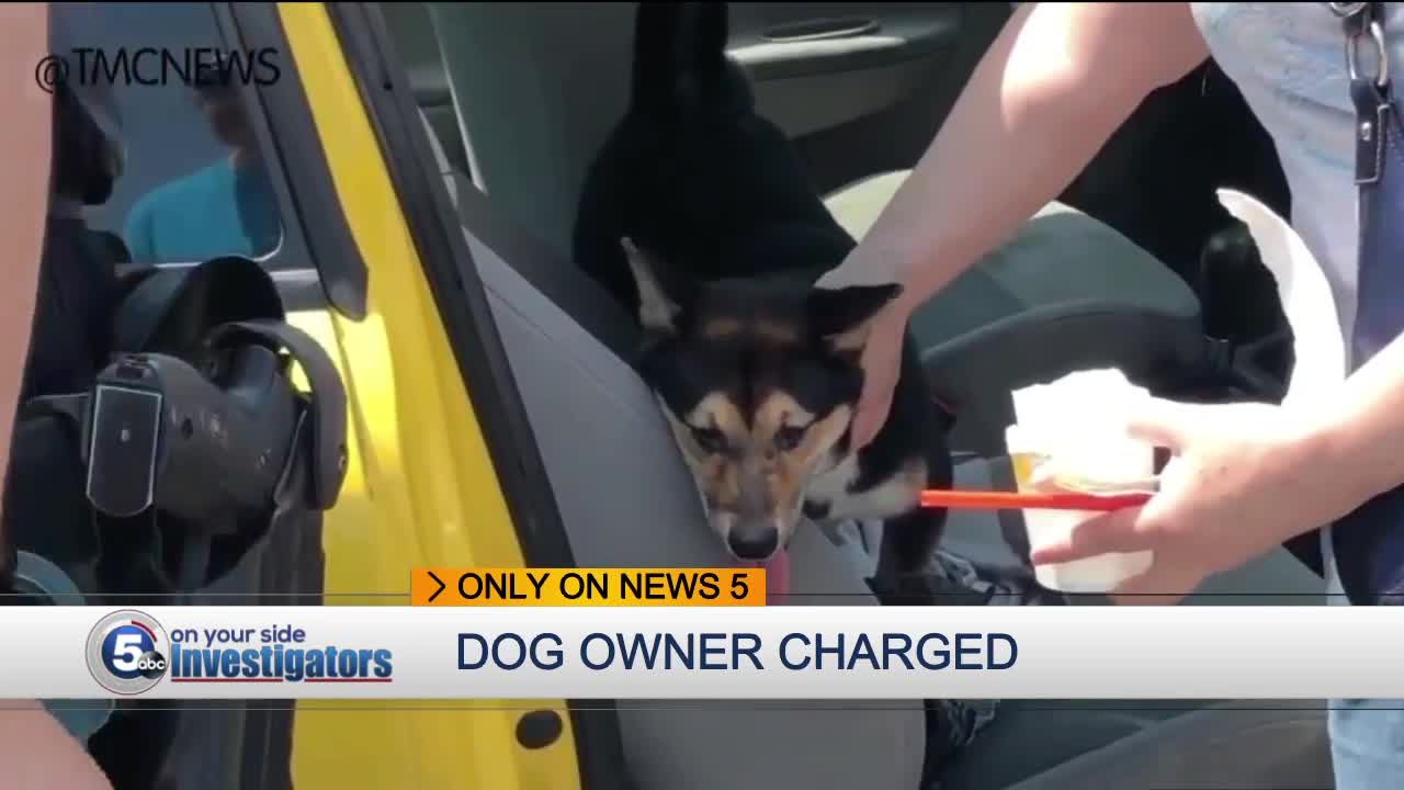 Dog found in locked car, North Ridgeville woman charged with cruelty to animals