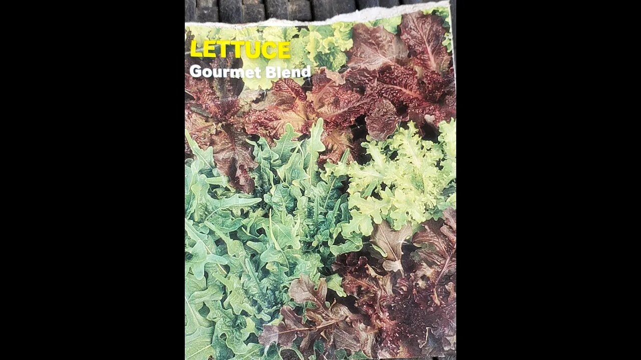 Lettuce variety updates. March 8, 2022