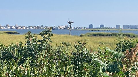 NYC National Parks: West Pond Trail @ Jamaica Bay Wildlife Refuge (Broad Channel, Queens) 1