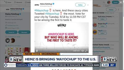 Heinz officially bringing Mayochup to US customers
