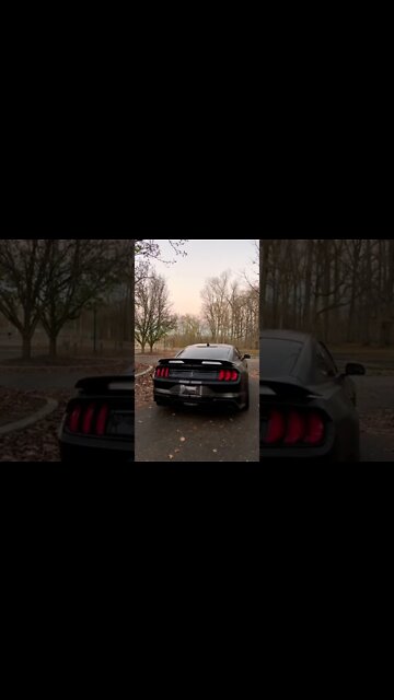 Just idle music #ford #mustangsociety #fordperformance #fordracing #shorts