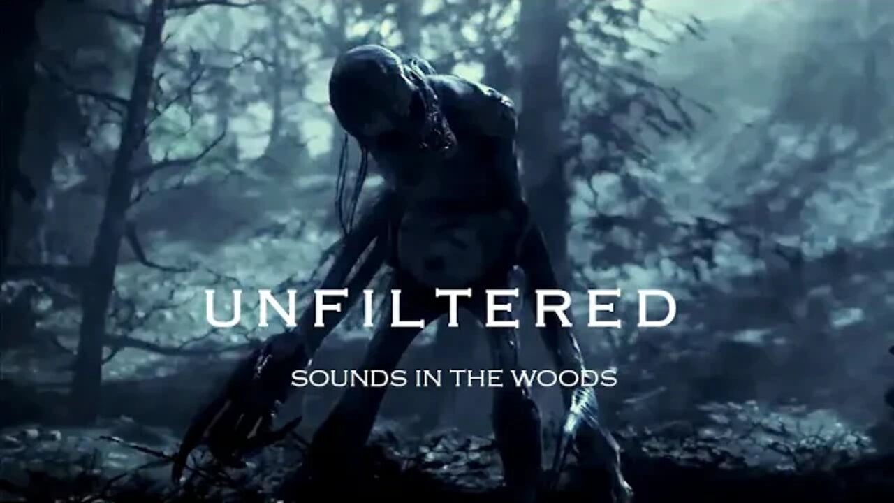 UNFILTERED: Sounds in the Woods