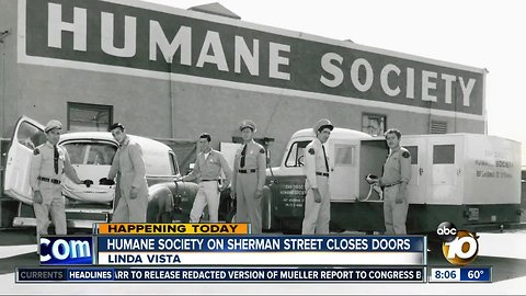 Humane society on Sherman St. class doors