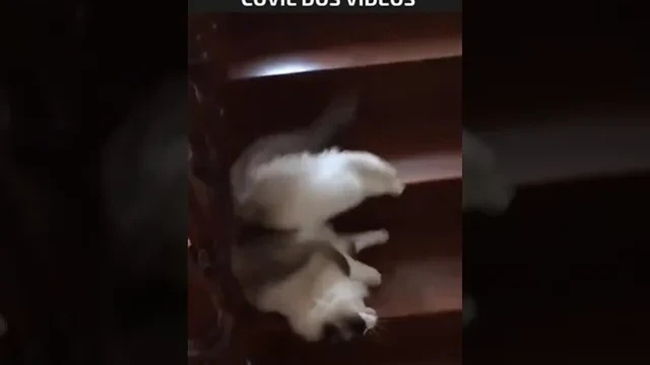 indo trabalhar na segunda