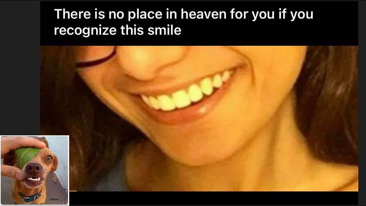 Memes That Will 99.948% Make You Laugh. (e173)