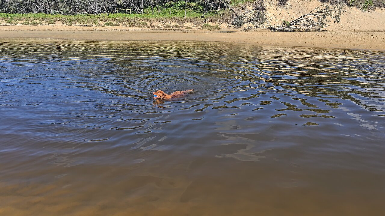 Currimundi Dog Beach | Lagoon