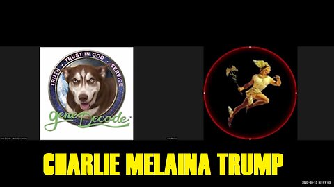Warning!! Gene Decode: Romana Didulo 5-Part Indictment From Whitehat Alliance!