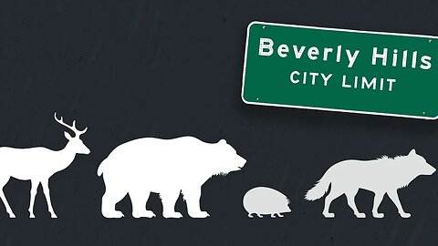 Wild Animals Are Part of the Systemic Racism?