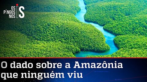 Desmatamento na Amazônia cai 70% em janeiro