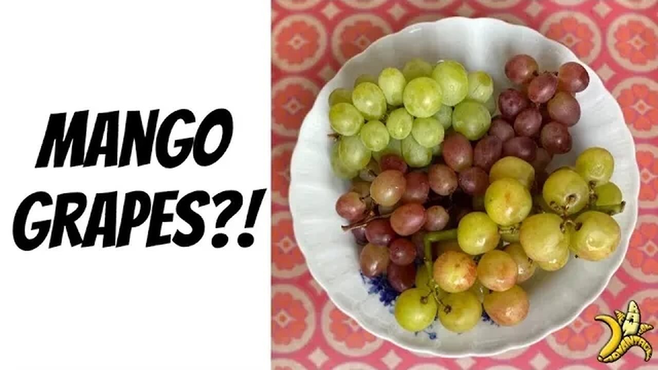 Mango Grapes?!