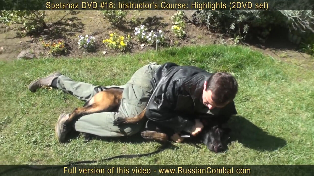 How to defend against an attacking dog. Self defense against dog attack