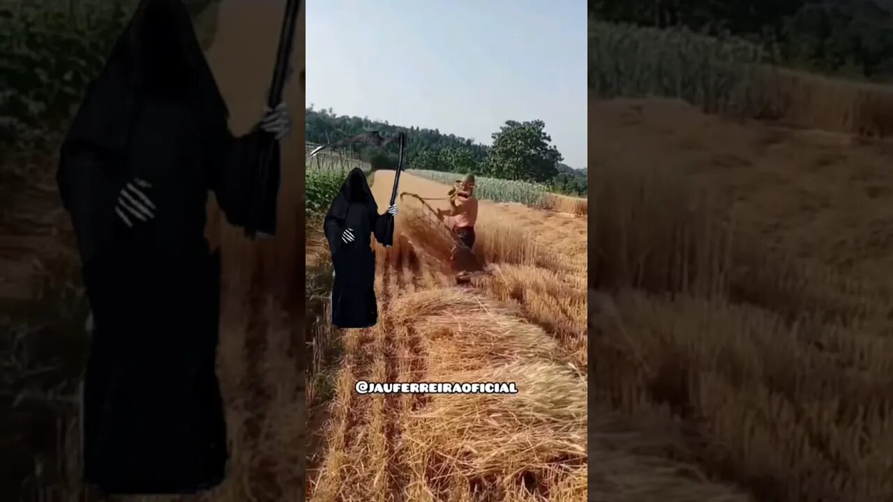 morteonilda volto #engraçado #pegadinha