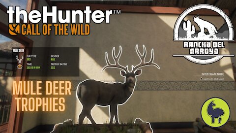 Mule Deer Trophies on Rancho del Arroyo! theHunter: Call of the Wild (PS5 4K)