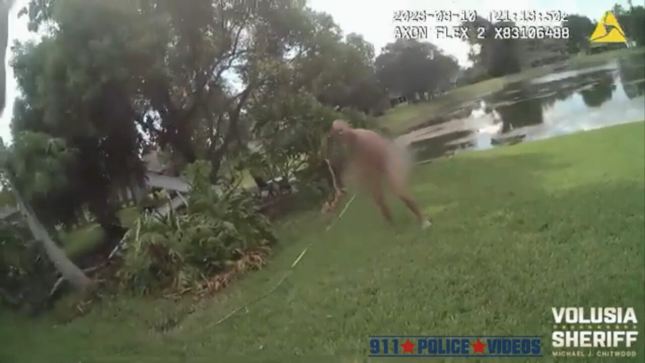 8-10-23 Volusia County Sheriff Bodycam of arrest of naked man who jumps into pond