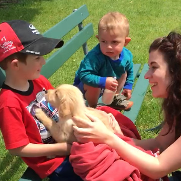 Toddler So Surprised By New Puppy He Falls Off Bench