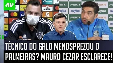 "A forma como SE DISTORCE os fatos é..." Mauro Cezar ESCLARECE "POLÊMICA" antes de Palmeiras x Galo!