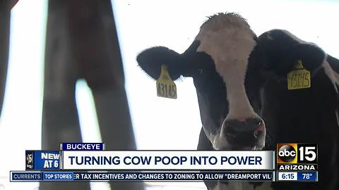 Buckeye dairy turns cow poop into power