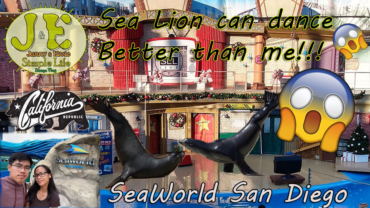 Sea Lion Show SeaWorld San Diego