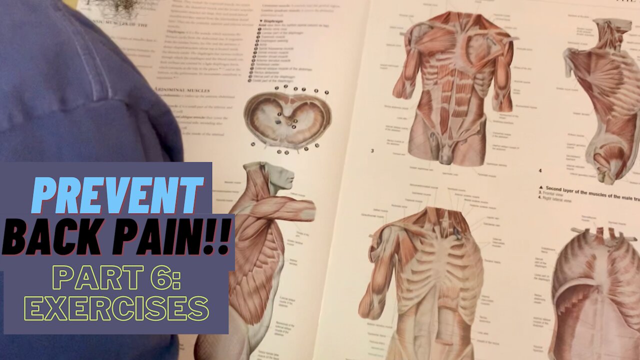 MUST DO EXERCISES FOR LOWER BACK!! (PT6/6: EXERCISES)