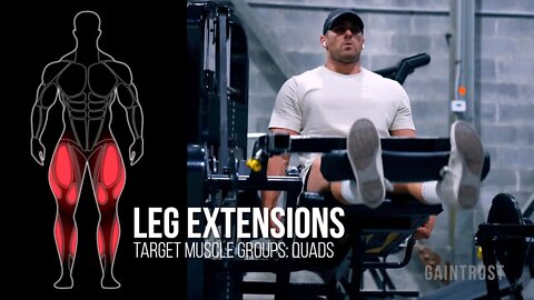Leg Extensions