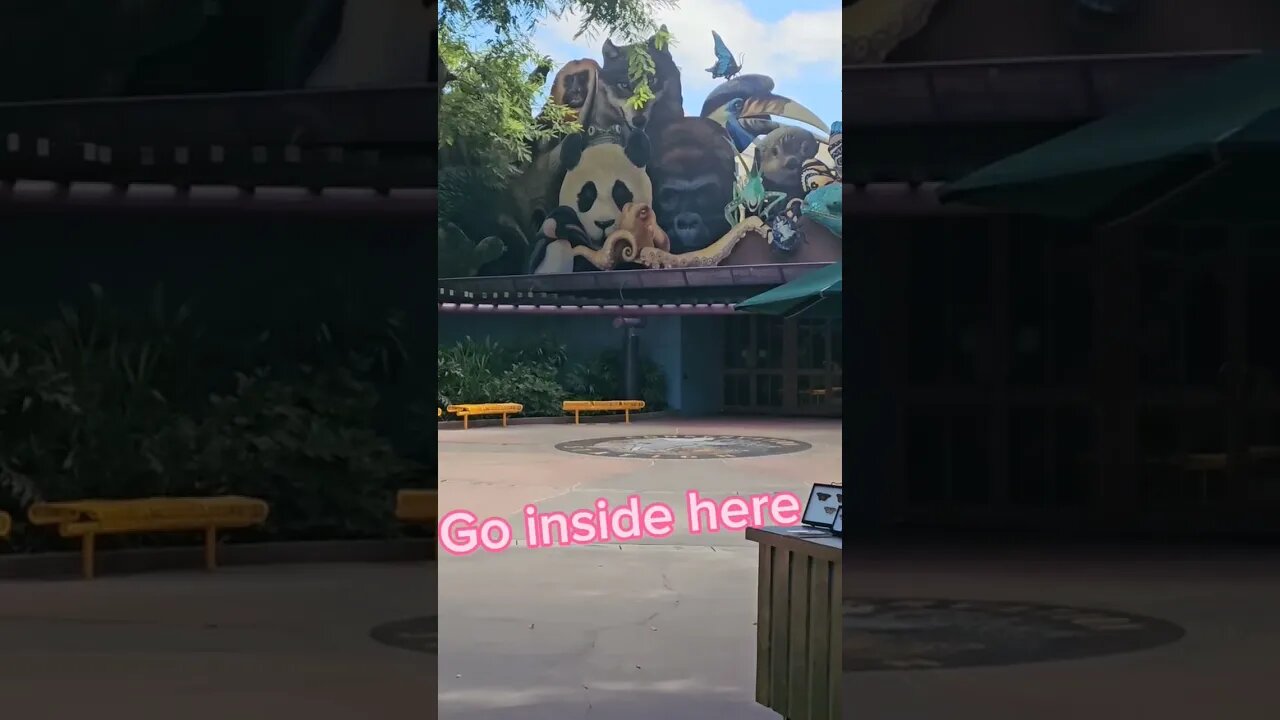 Animation Experience at Animal Kingdom! check it out! #animalkingdom #drawing #animation #disney