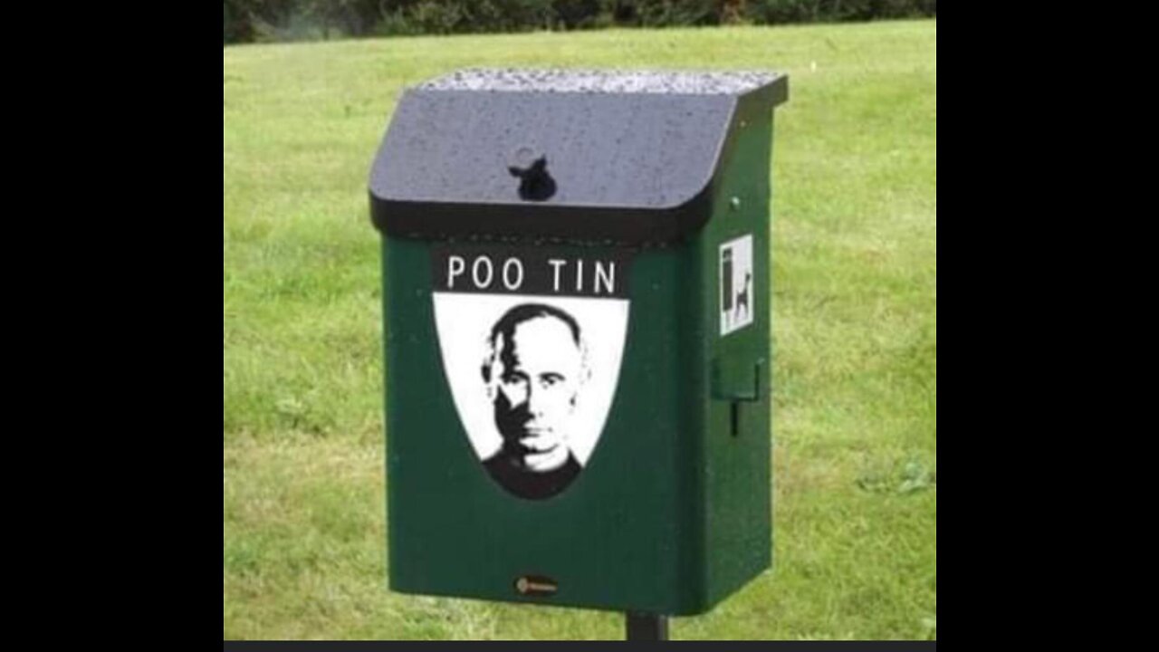 Lions Cuddleing and Kissing people