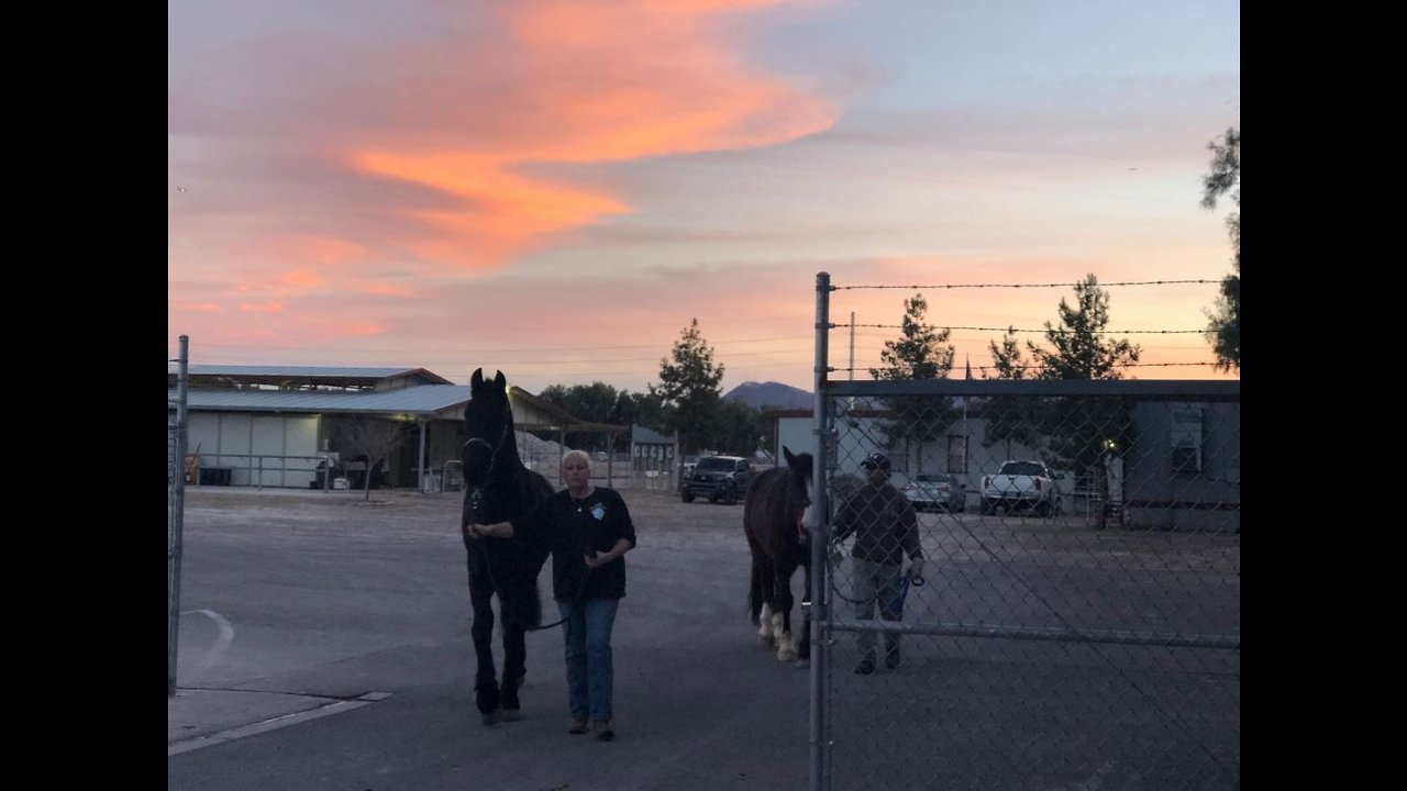 Mounted police unit in Las Vegas is dwindling