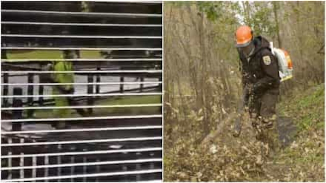 Il lavoro più inutile da svolgere durante una tempesta