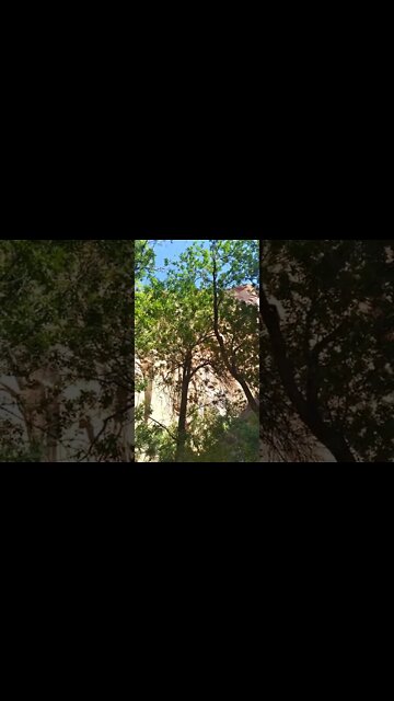 Zion National Park, 10.25.2022 -!-