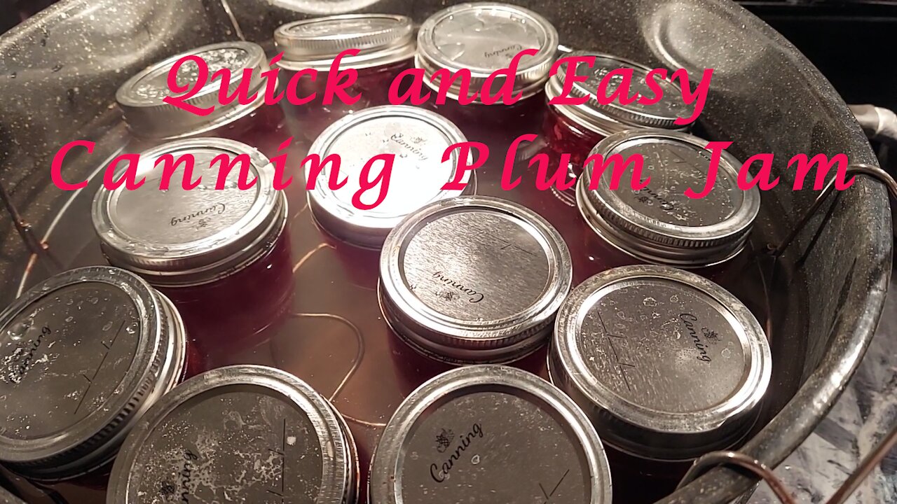 Quick and Easy Plum Jam VERY easy