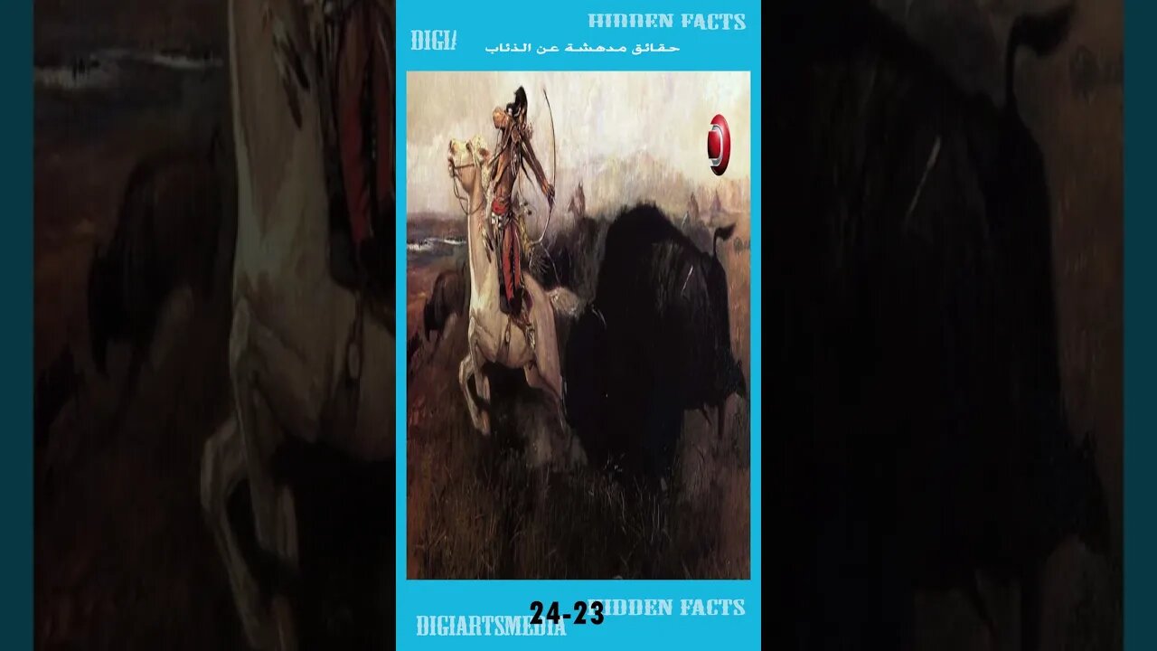 حقائق مدهشة عن الذئاب23 24