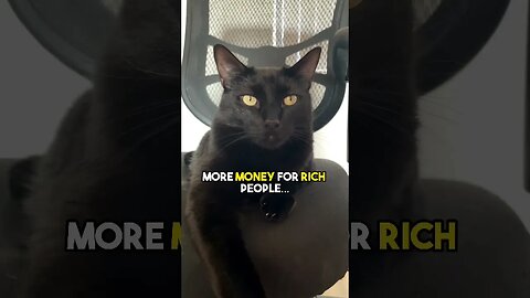 But hey, good for the rich people👍 #cat #blackcat #leonthecatdad #sarcasm #college #collegelife
