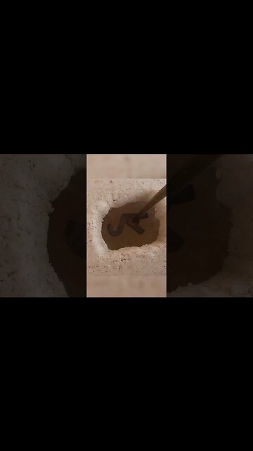 Using Liquid Nitrogen For Branding A Horse